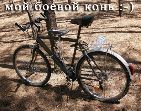 Велосипед с двумя сидениями