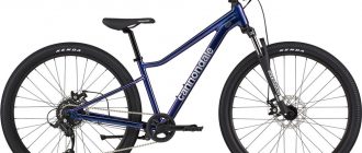 Что такое велосипед Cannondale — плюсы и минусы бренда