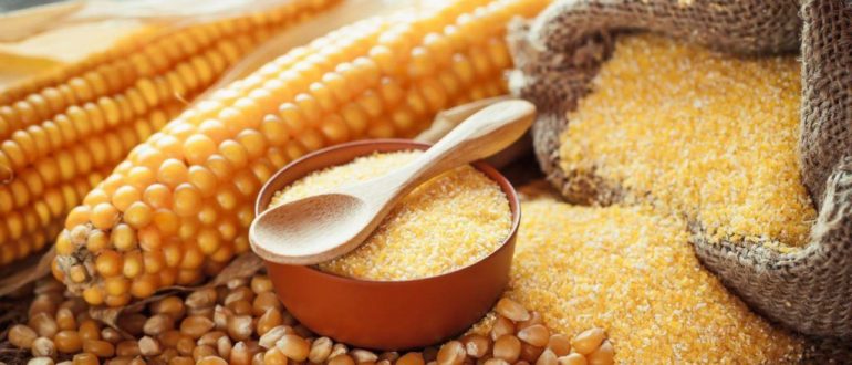 О зерновых продуктах. Манная и кукурузная крупы