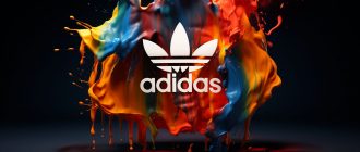 История бренда Adidas: от маленькой мастерской до глобального лидера