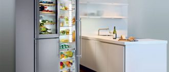 Причины разнообразия холодильников для дома