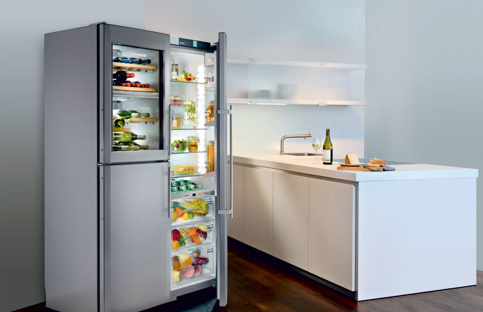 Причины разнообразия холодильников для дома