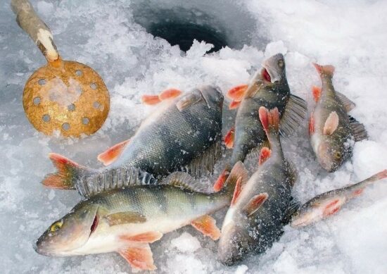 Как подготовиться к зимней рыбалке: советы и рекомендации  